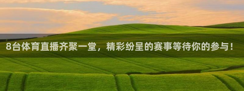 178nba直播免费观看：8台体育直播齐聚一堂，精彩纷呈的赛事等待你的参与！