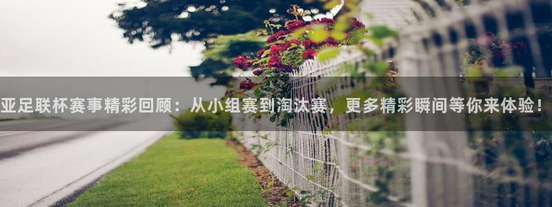 178直播体育：亚足联杯赛事精彩回顾：从小组赛到淘汰赛，更多精彩瞬间等你来体验！