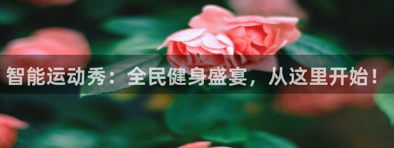 足球直播178直播：智能运动秀：全民健身盛宴，从这里开始！