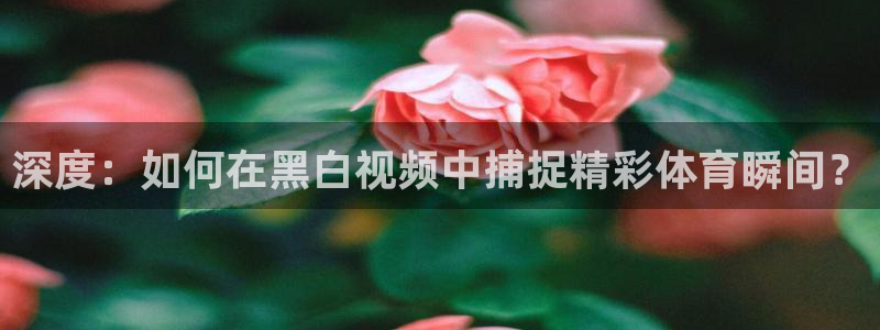 178直播体育在线：深度：如何在黑白视频中捕捉精彩体育瞬间？