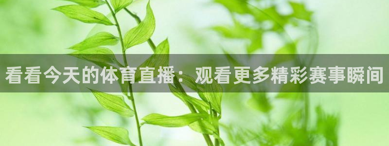 178足球免费直播五大：看看今天的体育直播：观看更多精彩赛事瞬间