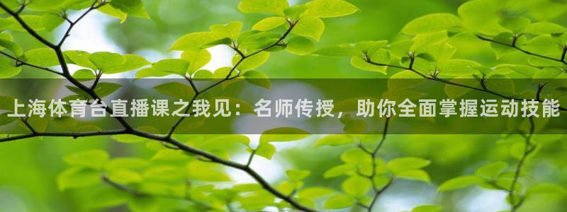 178足球在线直播观看直播：上海体育台直播课之我见：名师传授，助你全面掌握运动技能