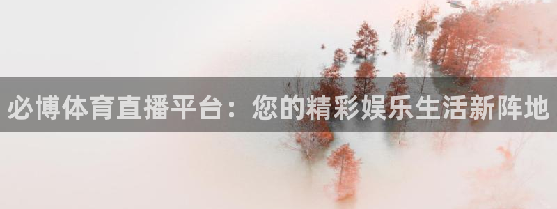 nba 178直播：必博体育直播平台：您的精彩娱乐生活新阵地