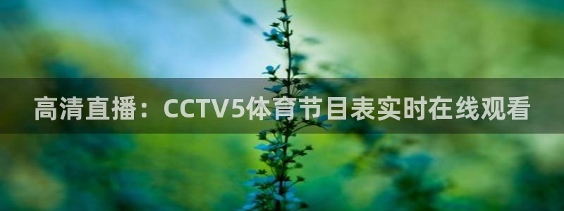 178nba直播免费观看：高清直播：CCTV5体育节目表实时在线观看